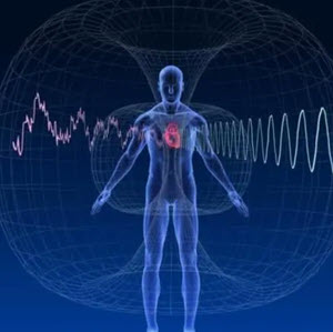 Abundance Accelerator