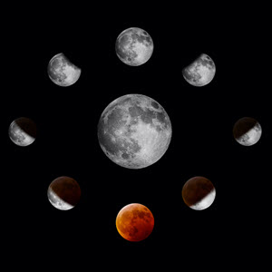 Moon Sign Reading